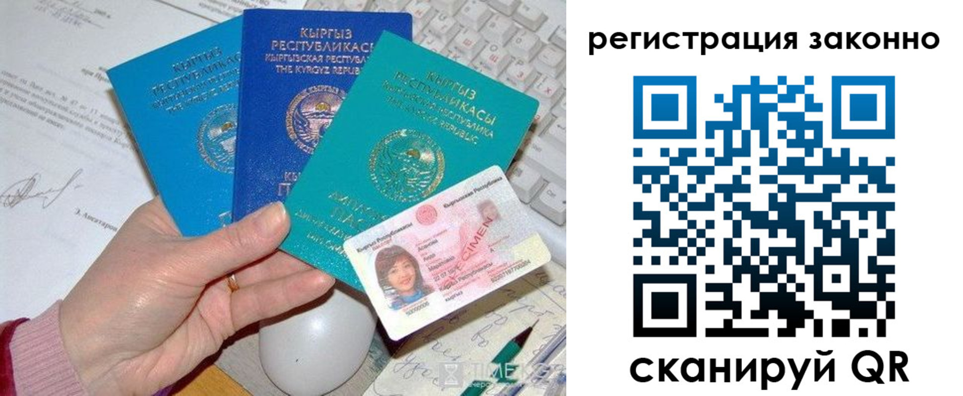 прописка для школы в Купино